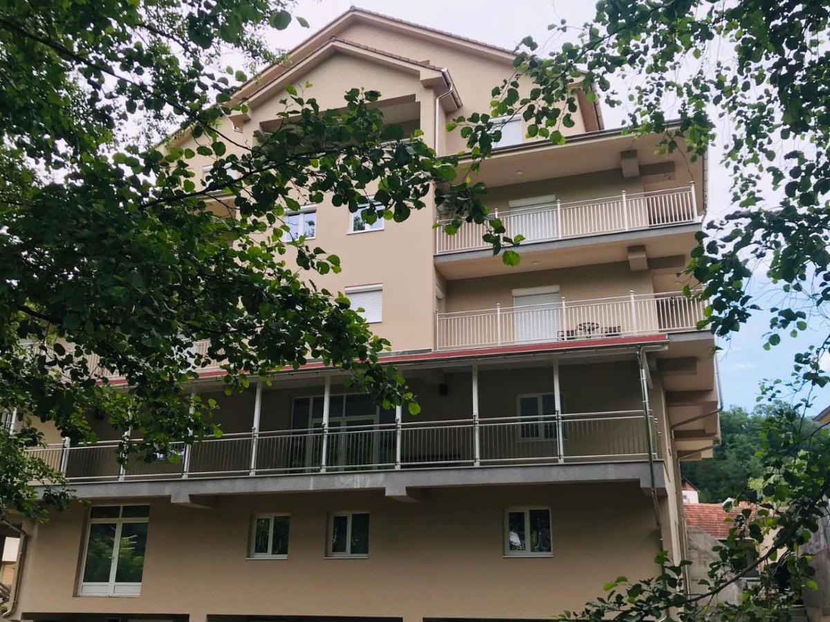 Apartmani & Spa Matin Breg Josanicka Banja Kültér fotó